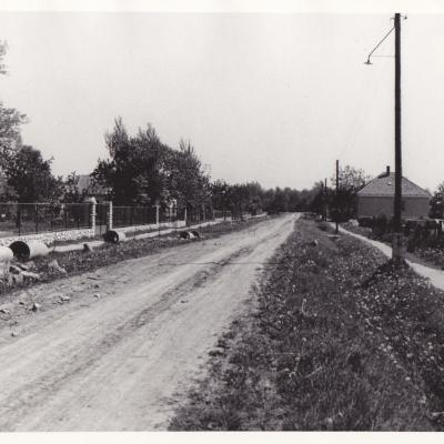 Img 0009