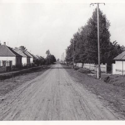 Img 0010